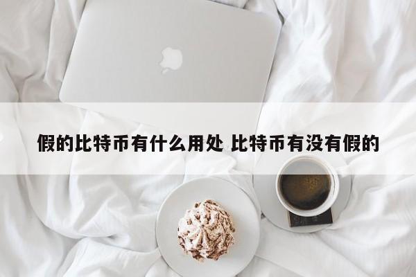 假的比特币有什么用处 比特币有没有假的
