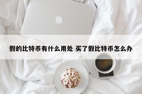 假的比特币有什么用处 买了假比特币怎么办