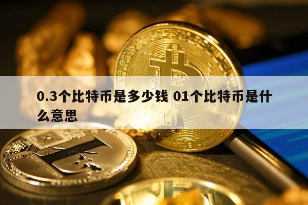 0.3个比特币是多少钱 01个比特币是什么意思
