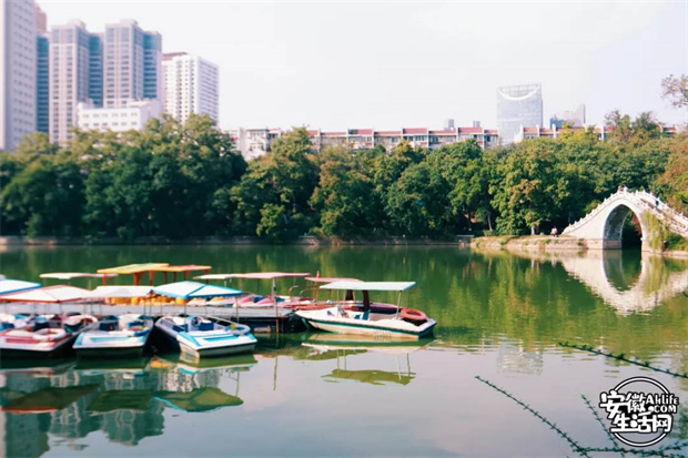 BG大游(中国)唯一官方网站