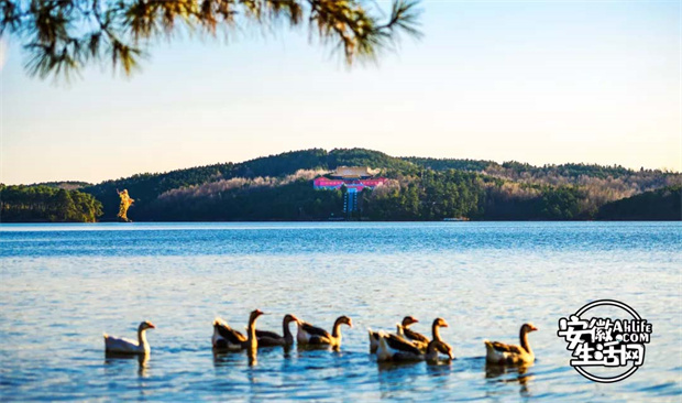 BG大游(中国)唯一官方网站