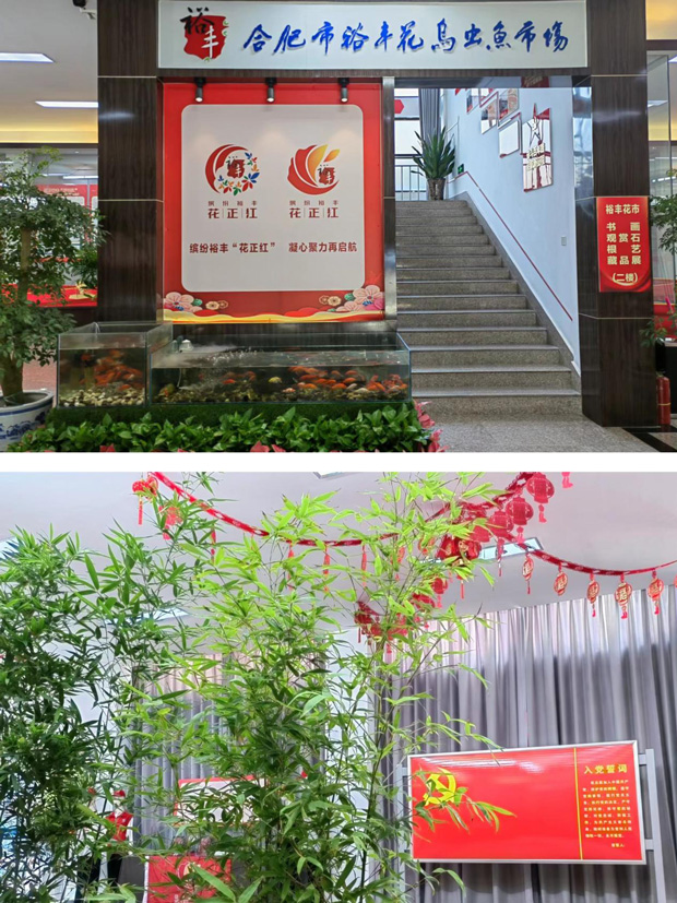 BG大游(中国)唯一官方网站