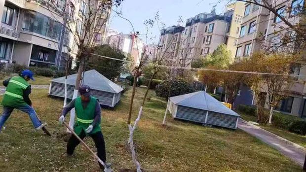 BG大游(中国)唯一官方网站