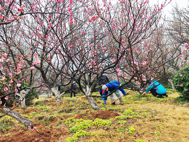 BG大游(中国)唯一官方网站