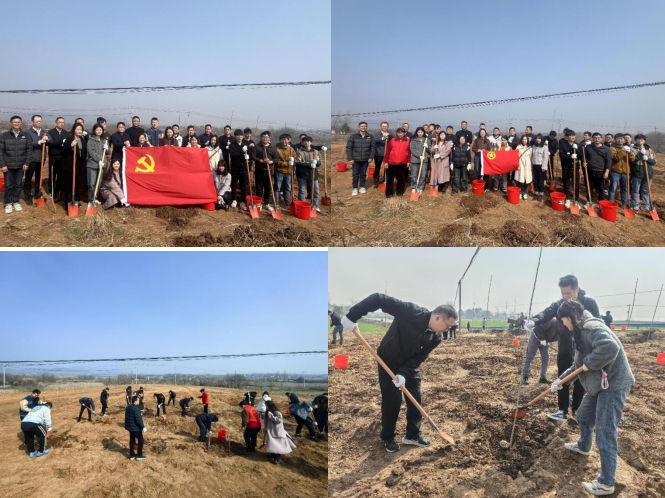 BG大游(中国)唯一官方网站