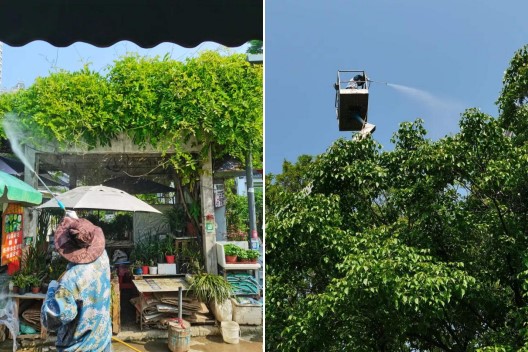 BG大游(中国)唯一官方网站