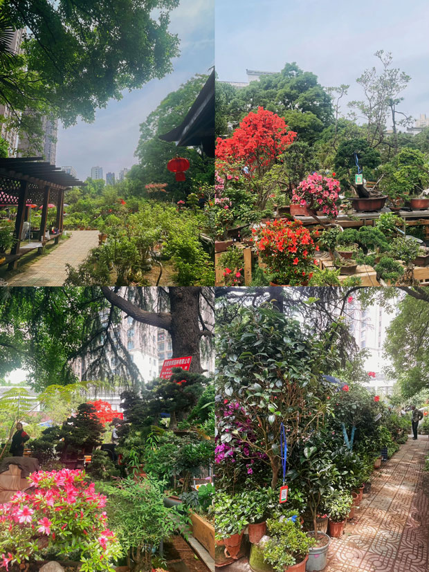 BG大游(中国)唯一官方网站