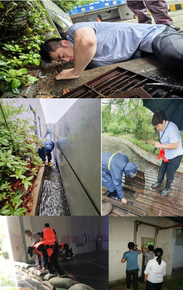 BG大游(中国)唯一官方网站