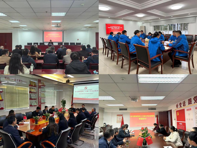 BG大游(中国)唯一官方网站