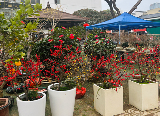 BG大游(中国)唯一官方网站