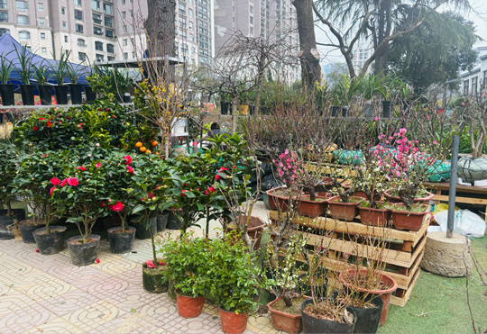 BG大游(中国)唯一官方网站