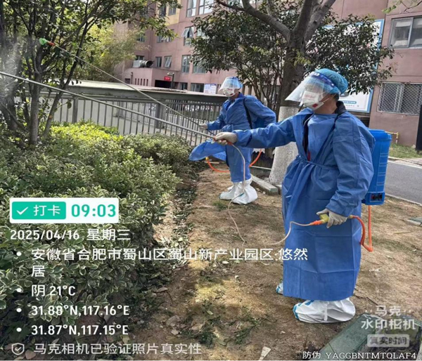 BG大游(中国)唯一官方网站