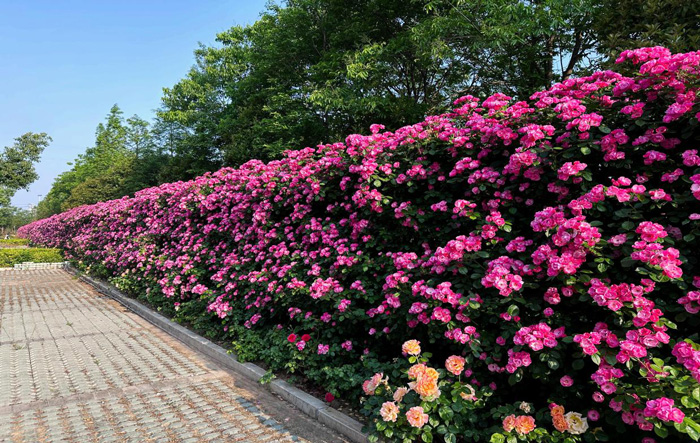 BG大游(中国)唯一官方网站